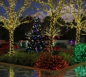 Holiday-Lights-Gardens